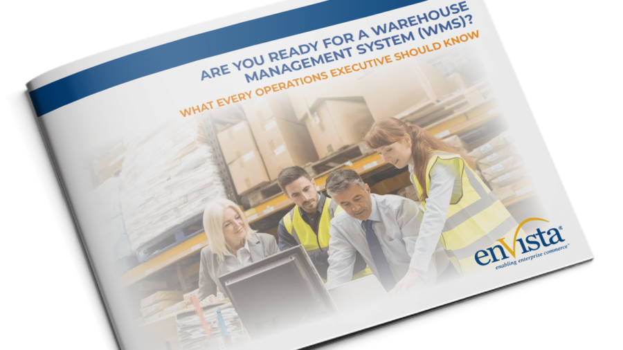 A group of four people in safety vests reviews documents and a computer in a warehouse setting. The cover text reads, “Are You Ready for a Warehouse Management System (WMS)? What Every Operations Executive Should Know.”.