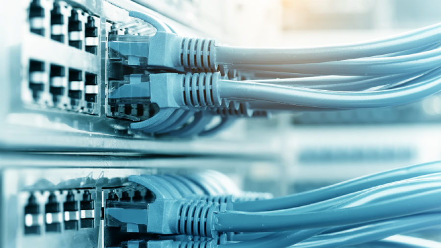 Close-up of multiple blue Ethernet cables plugged into network switches or servers, with blurred background, representing data connectivity and information technology infrastructure.