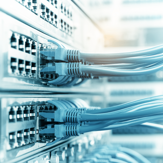 Close-up of multiple blue Ethernet cables plugged into network switches or servers, with blurred background, representing data connectivity and information technology infrastructure.