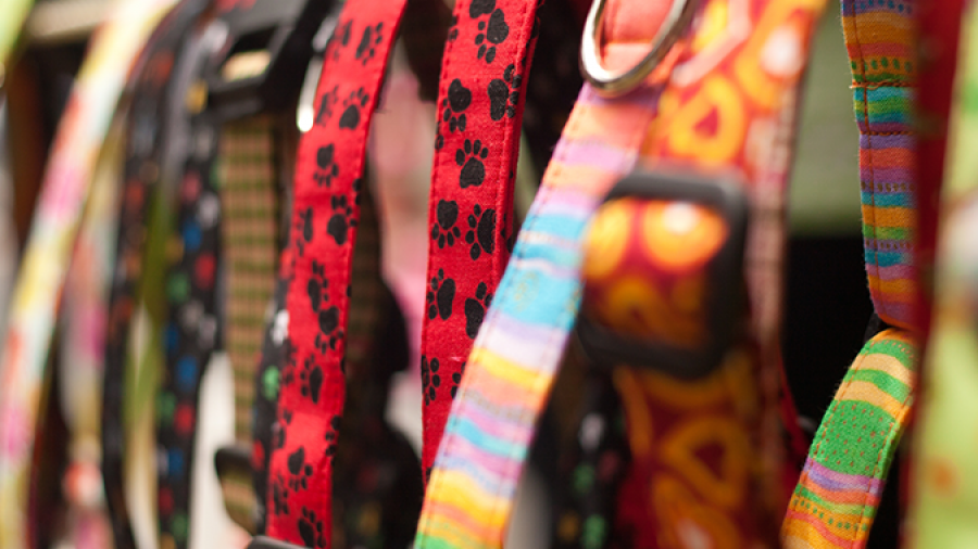 A row of colorful dog collars with various patterns, including red with black paw prints and multicolored stripes, hanging on a rack outdoors.