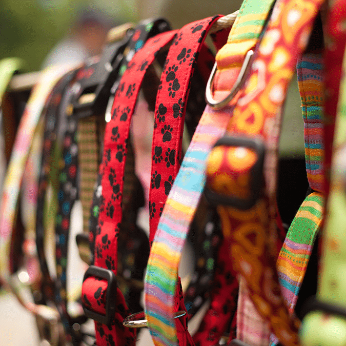 A row of colorful dog collars with various patterns, including red with black paw prints and multicolored stripes, hanging on a rack outdoors.
