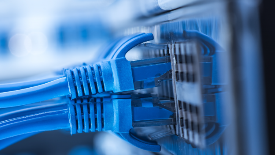 Close-up of several blue Ethernet cables plugged into a network switch with blurred background components, depicting a data center or server room environment.