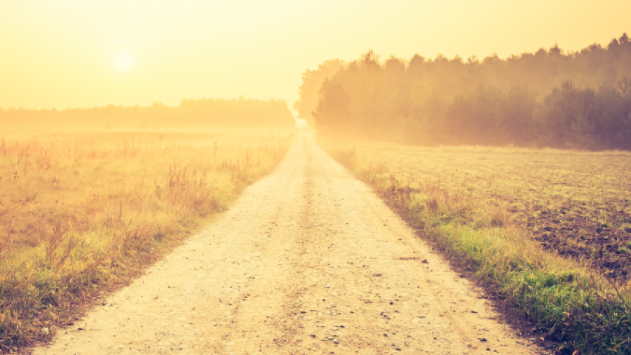 A dirt road stretches into the distance through fields at sunrise, with warm golden sunlight illuminating the landscape and a line of trees visible on the horizon under a hazy sky.