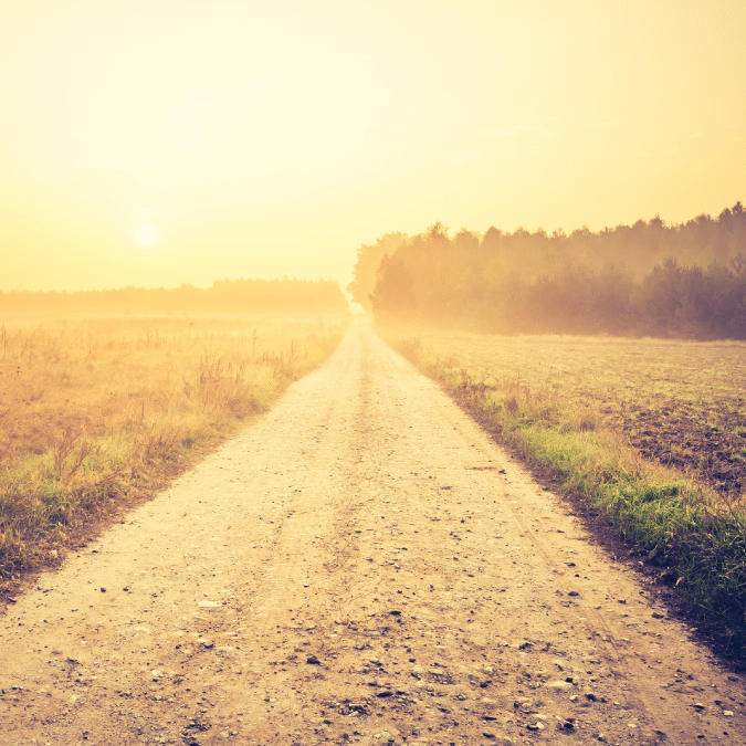 A dirt road stretches into the distance through fields at sunrise, with warm golden sunlight illuminating the landscape and a line of trees visible on the horizon under a hazy sky.
