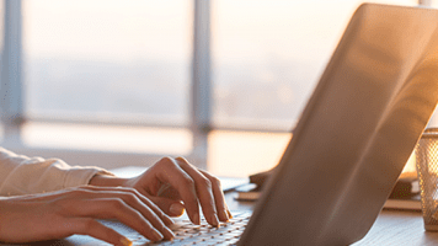 A person types on a laptop at a desk with sunlight streaming through large windows. A pencil holder with pens and pencils is visible beside the laptop.