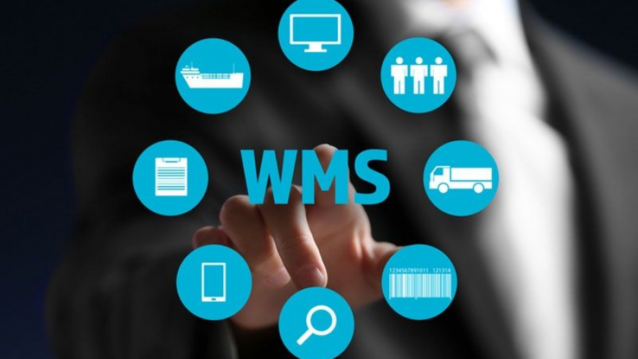 A person in a suit points at a transparent screen displaying WMS, surrounded by blue icons for shipping, people, a truck, and more—visually illustrating a warehouse management system case study.