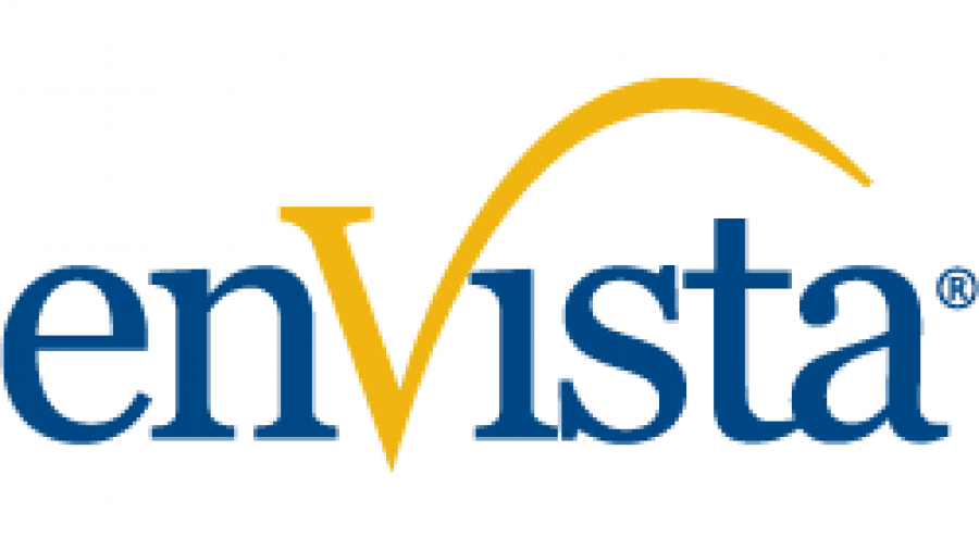 The image shows the enVista logo, with the letters in blue and a gold curved line arching over the letter V.