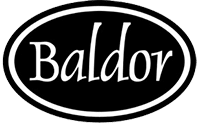 Black oval logo with a white border, featuring the word Baldor in white, stylized font at the center.