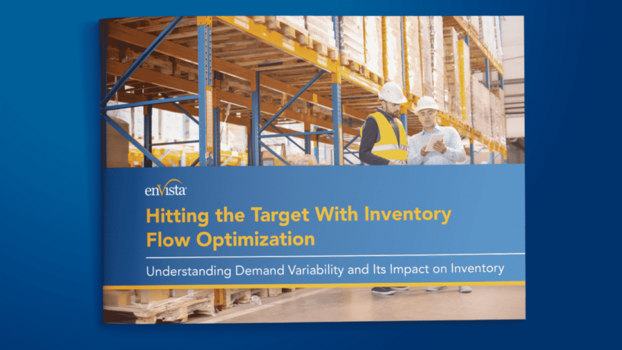 A warehouse setting with two workers in safety vests and helmets checking inventory; the text on the image reads “Hitting the Target With Inventory Flow Optimization: Understanding Demand Variability and Its Impact on Inventory.”.