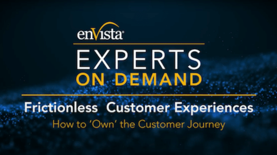 Blue graphic with the enVista logo and text: Experts On Demand. Frictionless Customer Experiences. How to Own the Customer Journey. Curved light effects appear in the background.