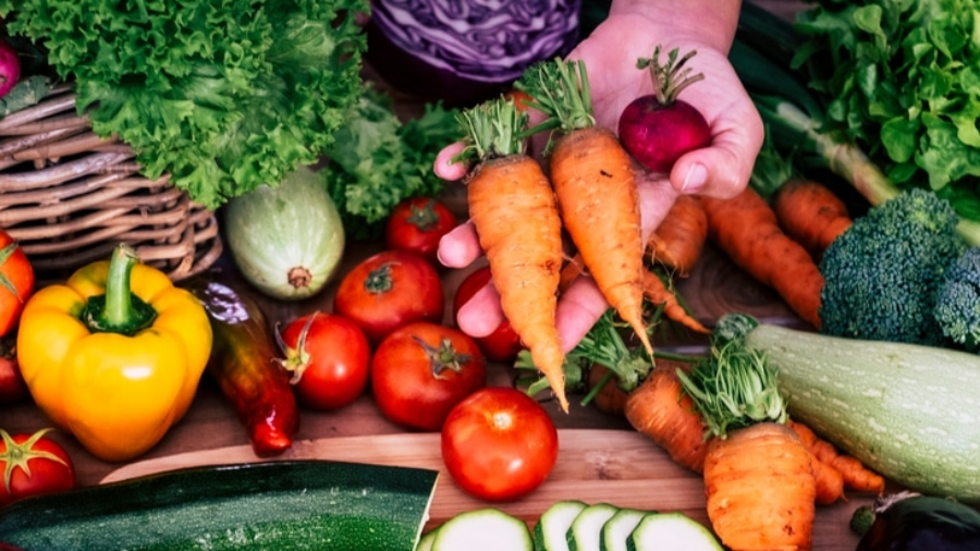 A variety of fresh, FSMA-compliant vegetables—including carrots, tomatoes, radishes, bell pepper, zucchini, broccoli, lettuce, and cabbage—are arranged on a wooden surface, with a hand holding three carrots and a radish.