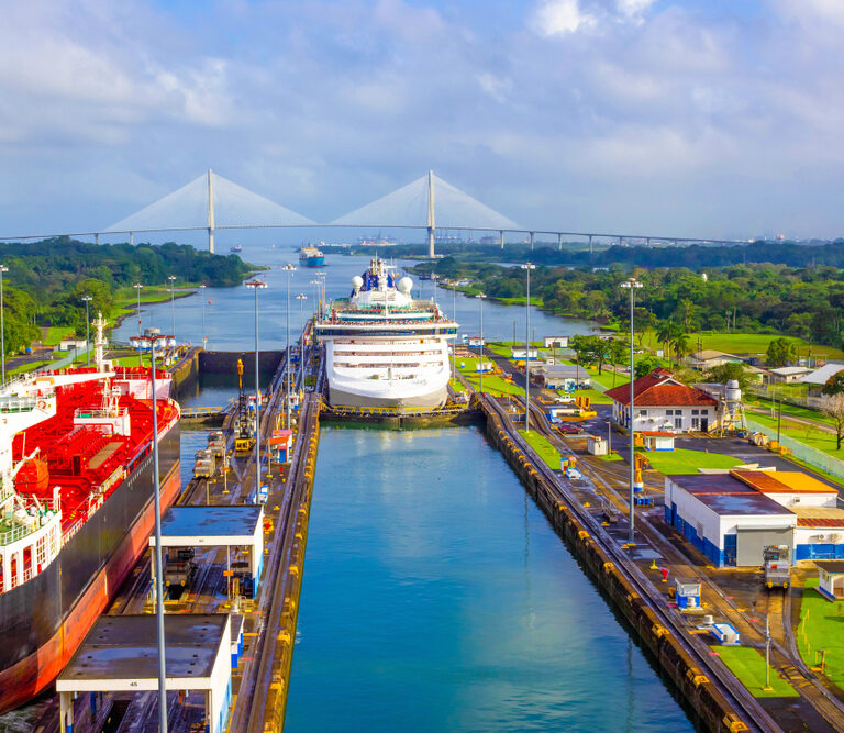 Several large ships pass through a canal lock surrounded by green landscape and buildings focused on warehouse safety, with a long cable-stayed bridge in the background under a partly cloudy sky. Roads and structures line both sides of the canal.