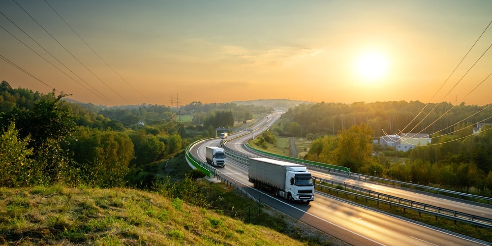 Two semi-trucks drive along a winding highway through green hills at sunrise, the clear sky casting a warm glow—an ideal setting to illustrate a transportation management system business case. Power lines and trees border the serene road.