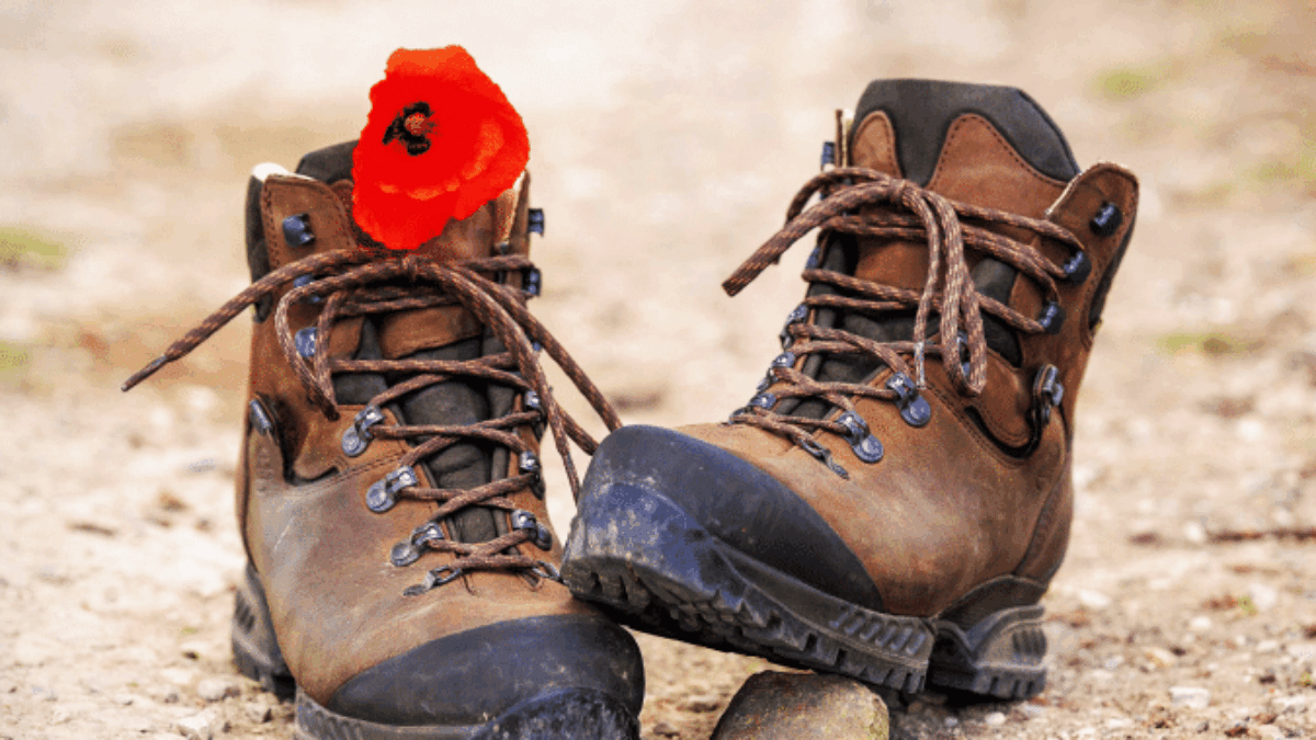 A pair of worn brown hiking boots sits on a dirt path, with a single red poppy flower tucked into the laces of the left boot.