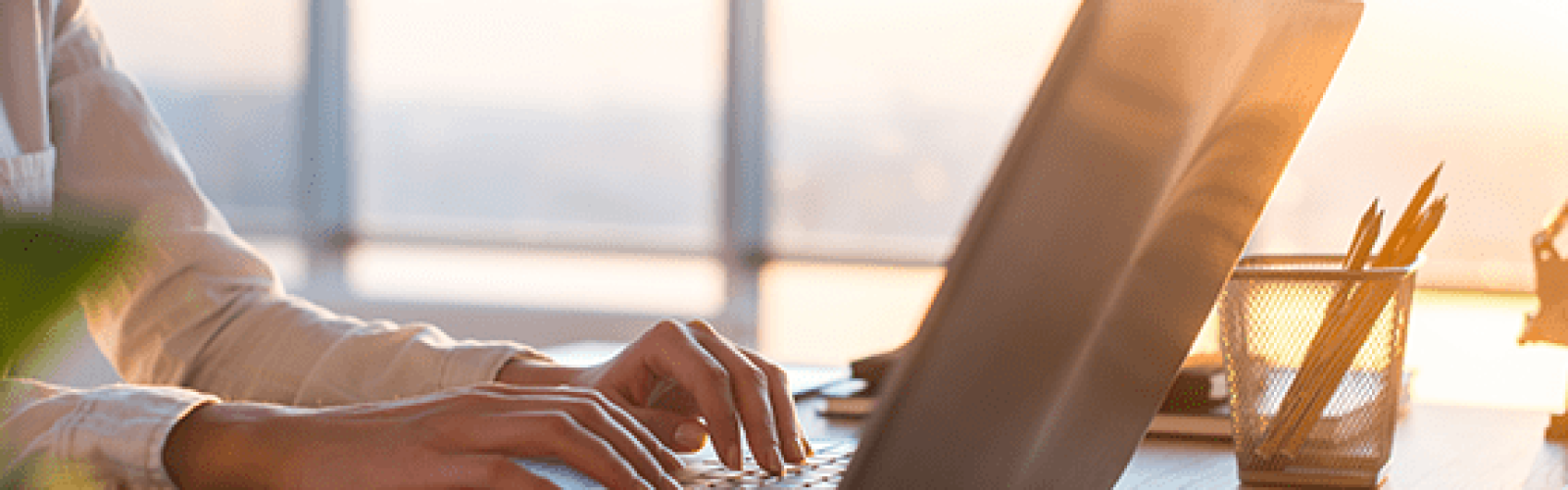 A person types on a laptop at a desk near a window with sunlight streaming in. A container of pencils and pens sits nearby. The scene has a warm, bright atmosphere.